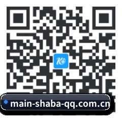苹果版 iOS 二维码